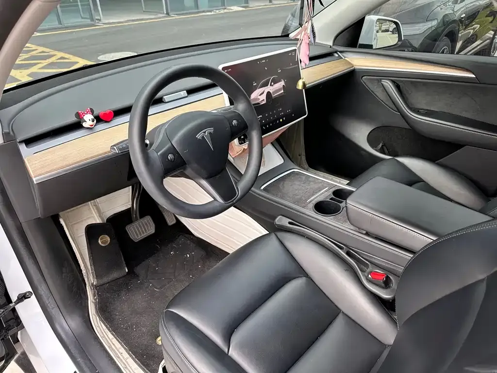 Tesla Model Y 2022 из CN, фото 6
