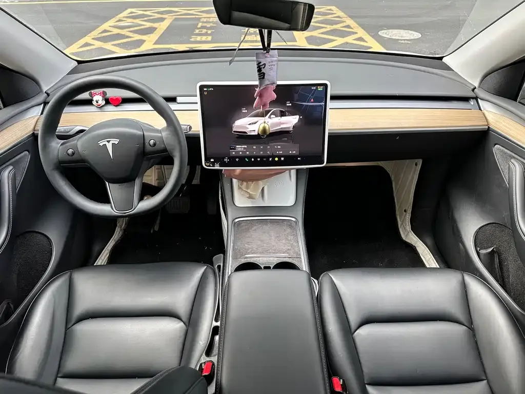 Tesla Model Y 2022 из CN, фото 9