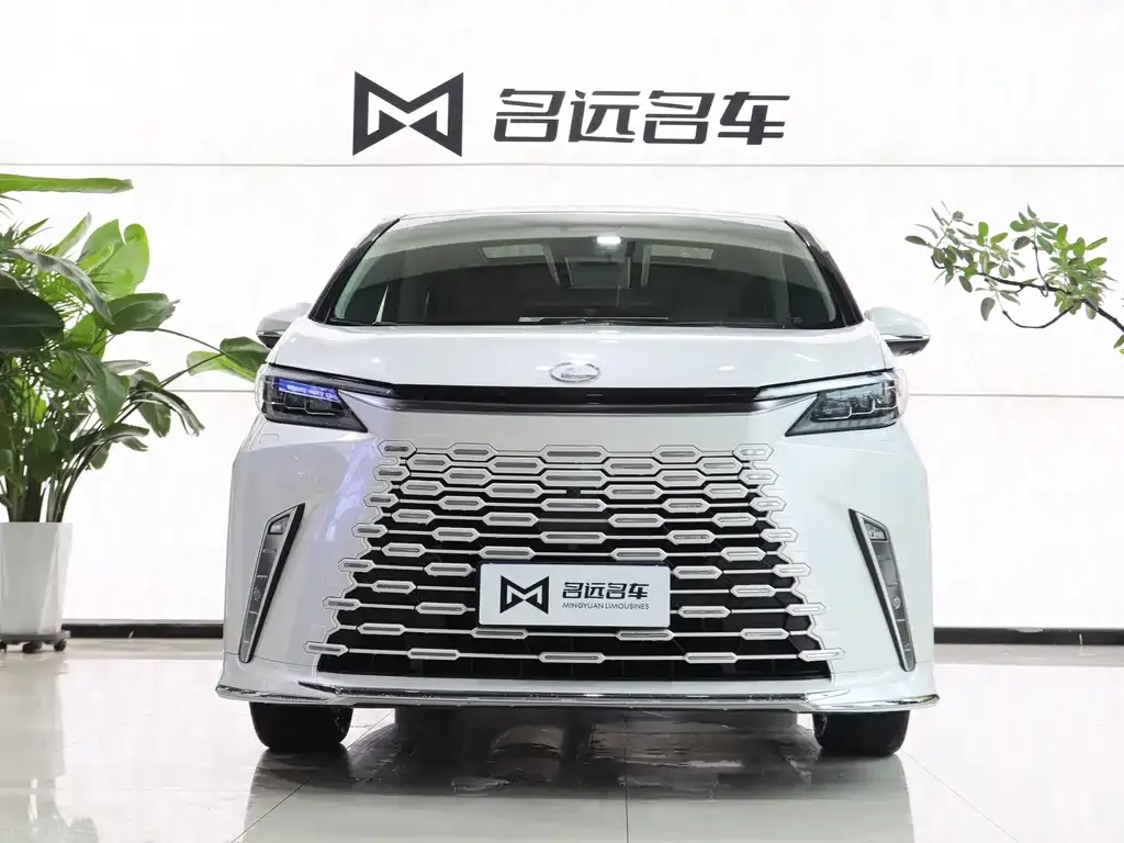 Lexus LM 2024 из CN, фото 8