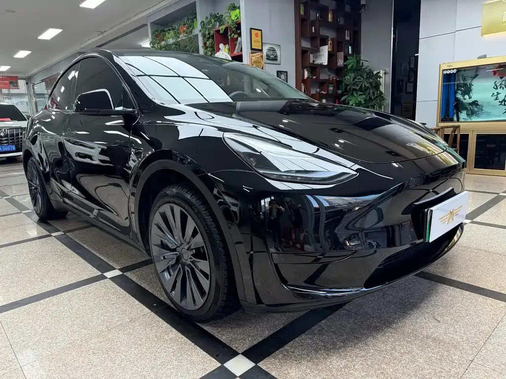 Tesla Model Y — фото 3