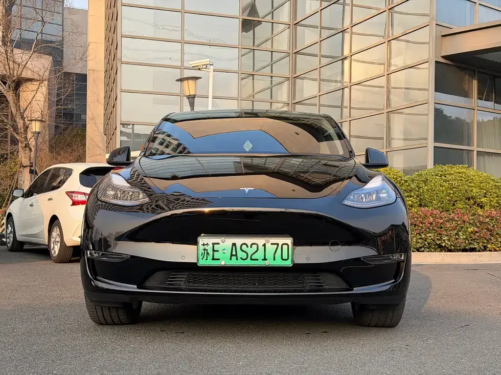 Tesla Model Y — фото 6