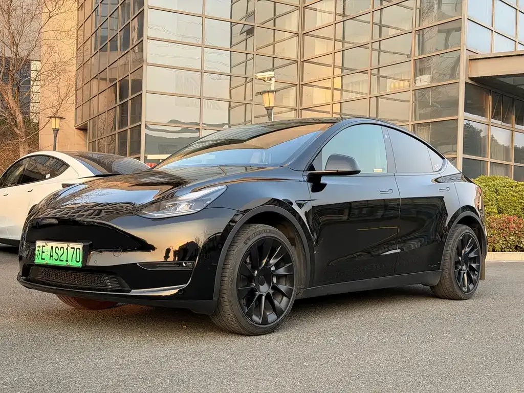Tesla Model Y — фото 10