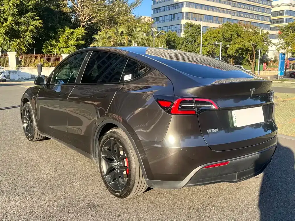 Tesla Model Y 2024 из CN, фото 4