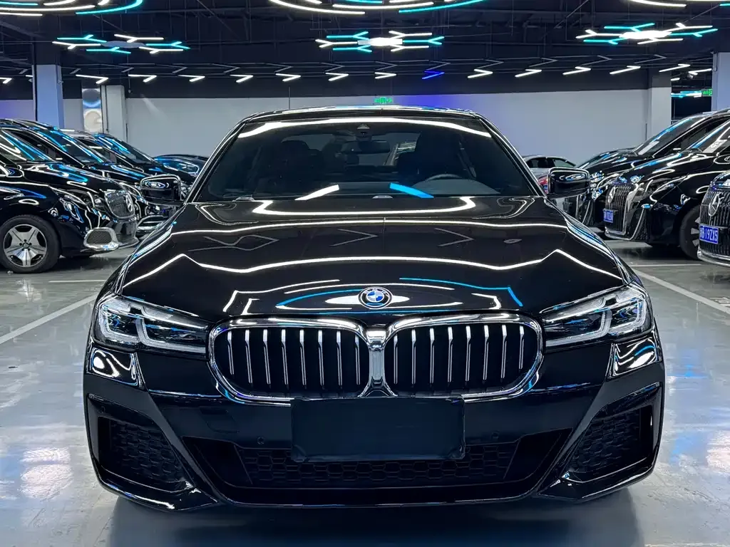 BMW 5 Series 2021 из CN, фото 7