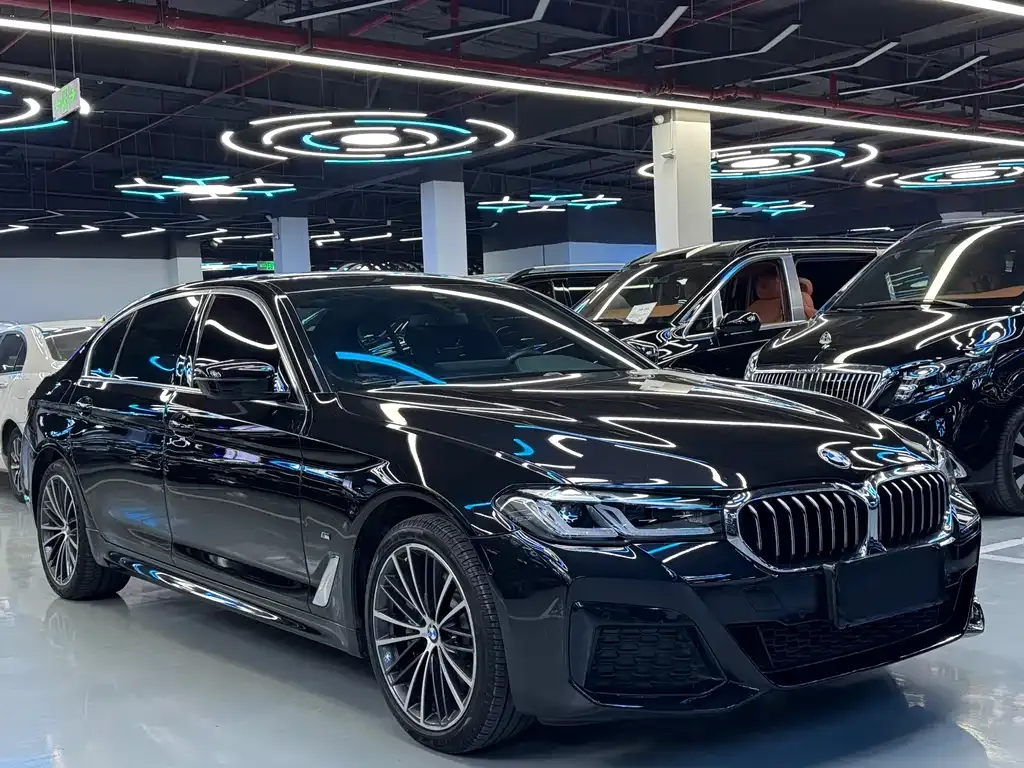 BMW 5 Series 2021 из CN, фото 4