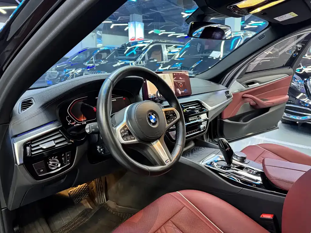 BMW 5 Series 2021 из CN, фото 9