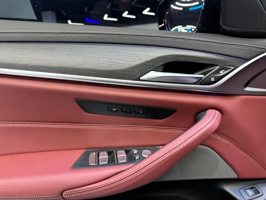 BMW 5 Series 2021 из CN, фото 5