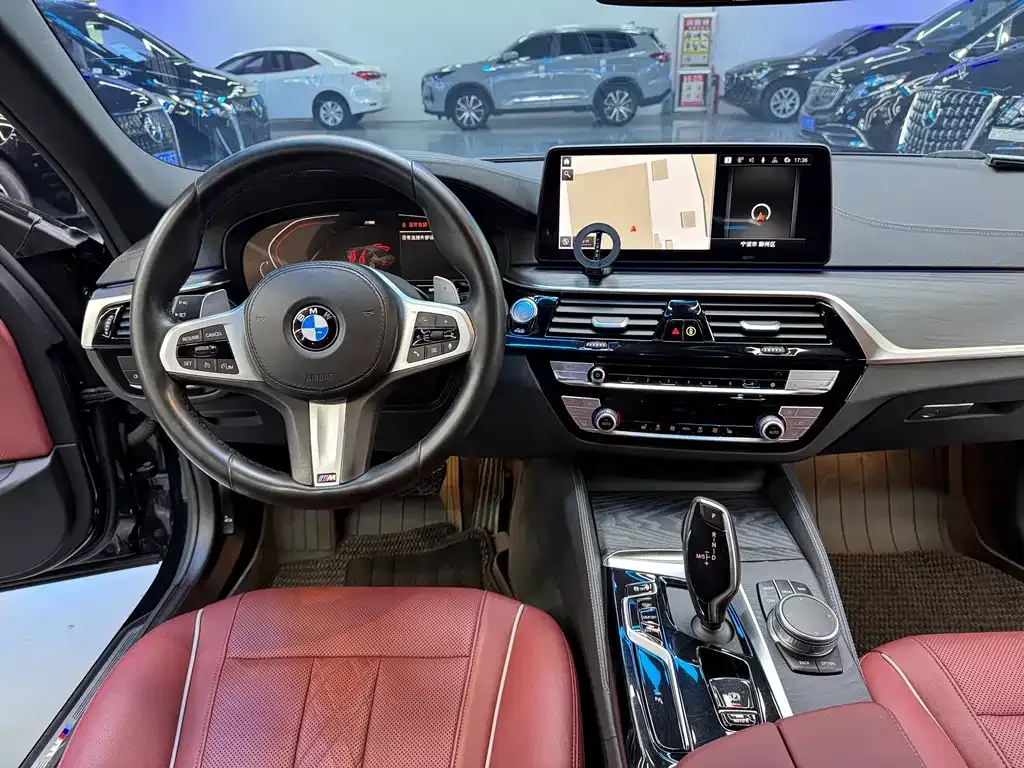 BMW 5 Series 2021 из CN, фото 8