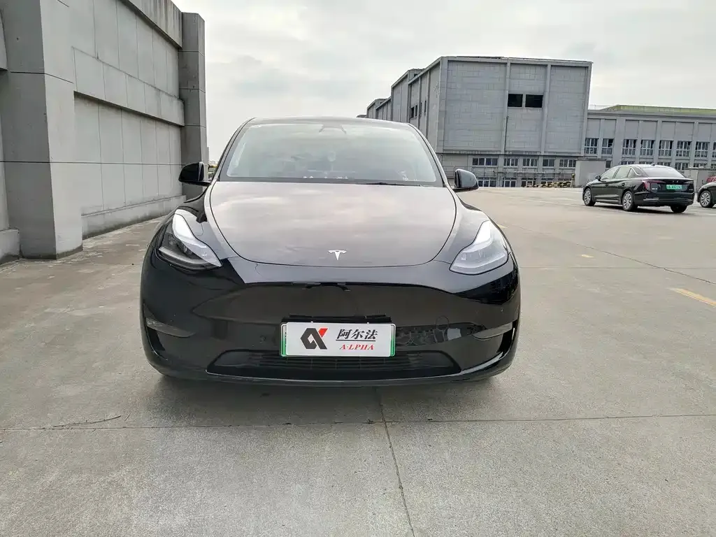 Tesla Model Y 2023 из CN, фото 5