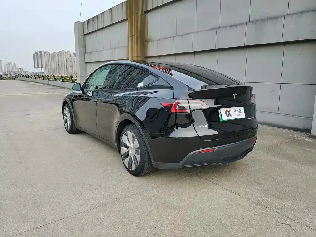 Tesla Model Y 2023 из CN, фото 4