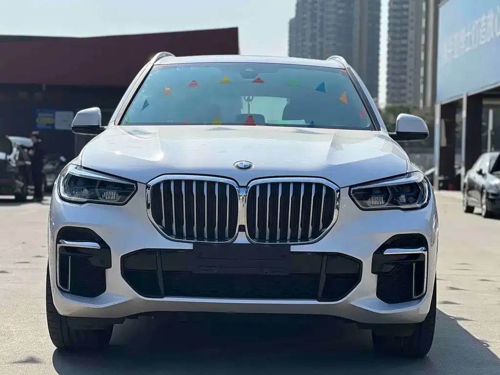 BMW X5 2023 из CN, фото 6