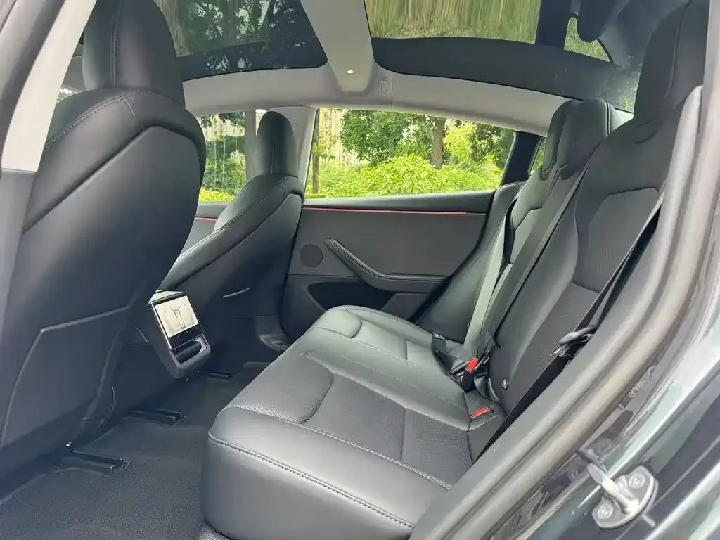 Tesla Model 3 2025 из CN, фото 3