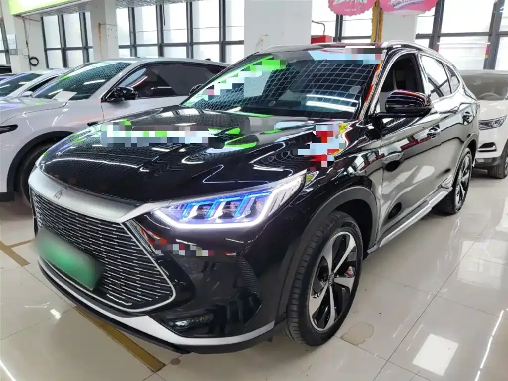 BYD PLUS New Energy — фото 1