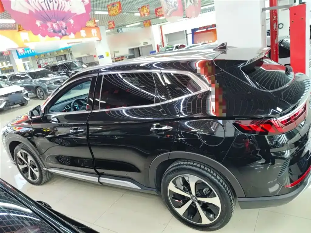 BYD PLUS New Energy — фото 5