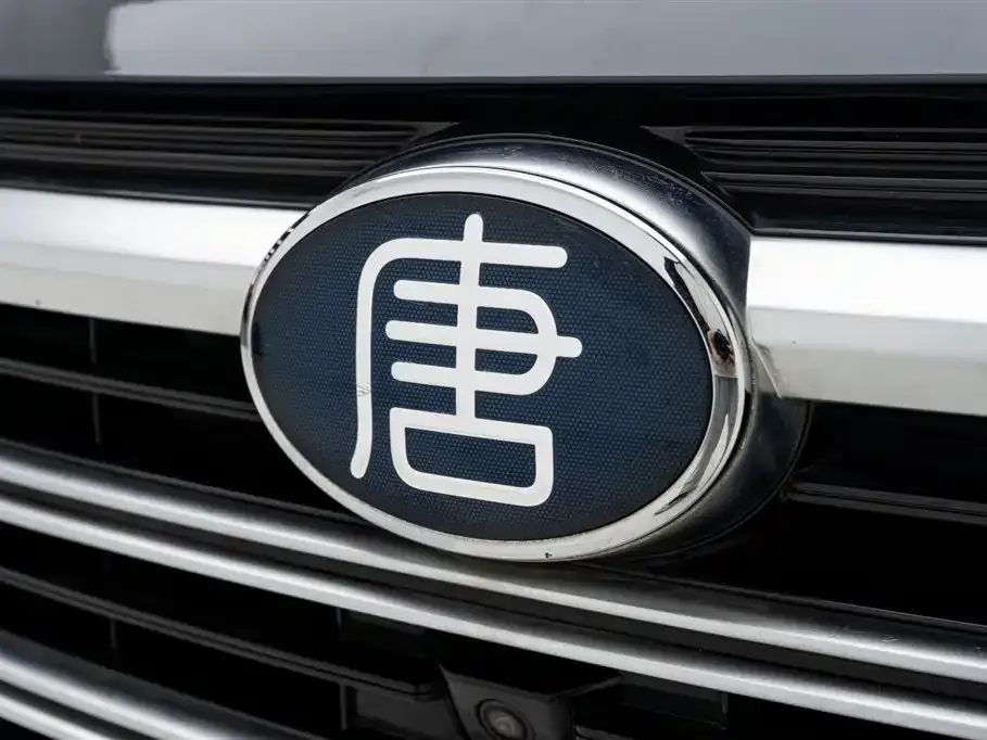 BYD Tang New Energy 2022 из CN, фото 10