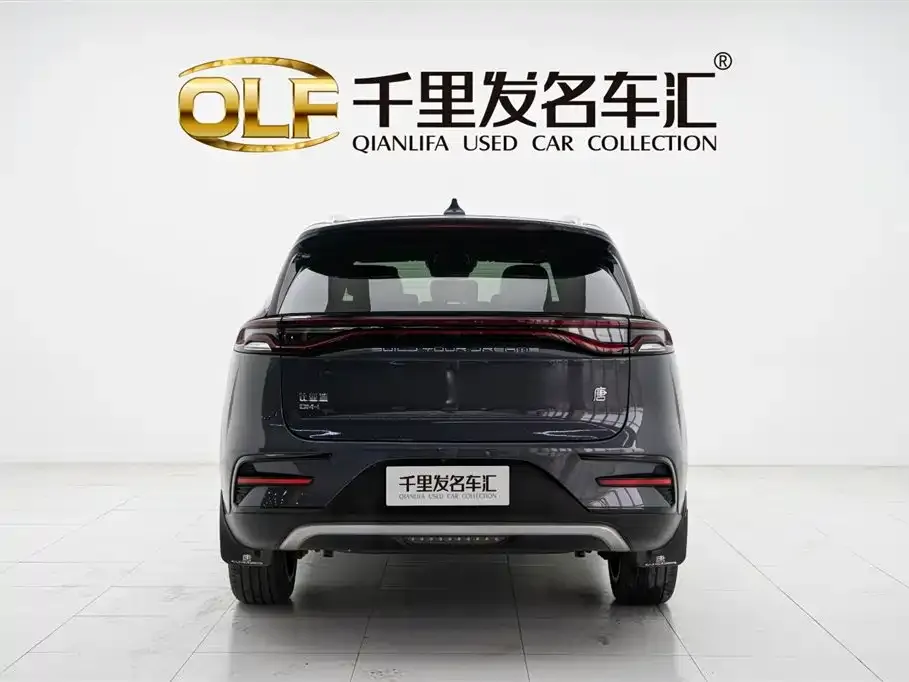 BYD Tang New Energy 2022 из CN, фото 5