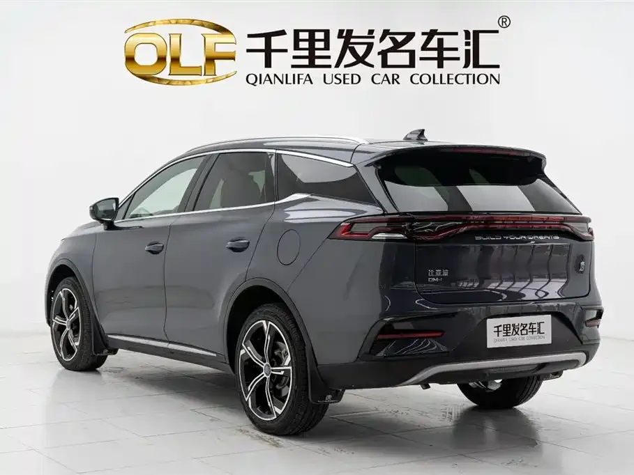 BYD Tang New Energy 2022 из CN, фото 6