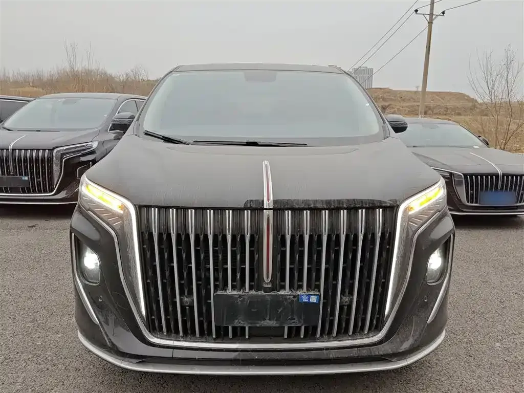 Hongqi HQ9 PHEV 2024 из CN, фото 6