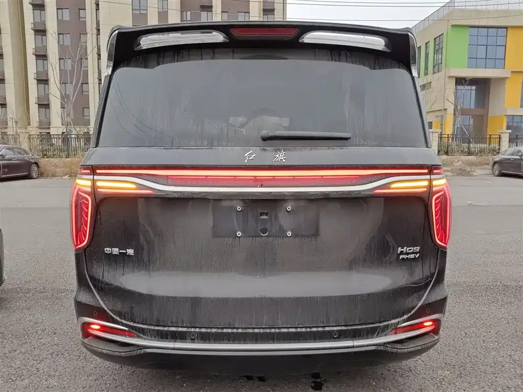 Hongqi HQ9 PHEV 2024 из CN, фото 4