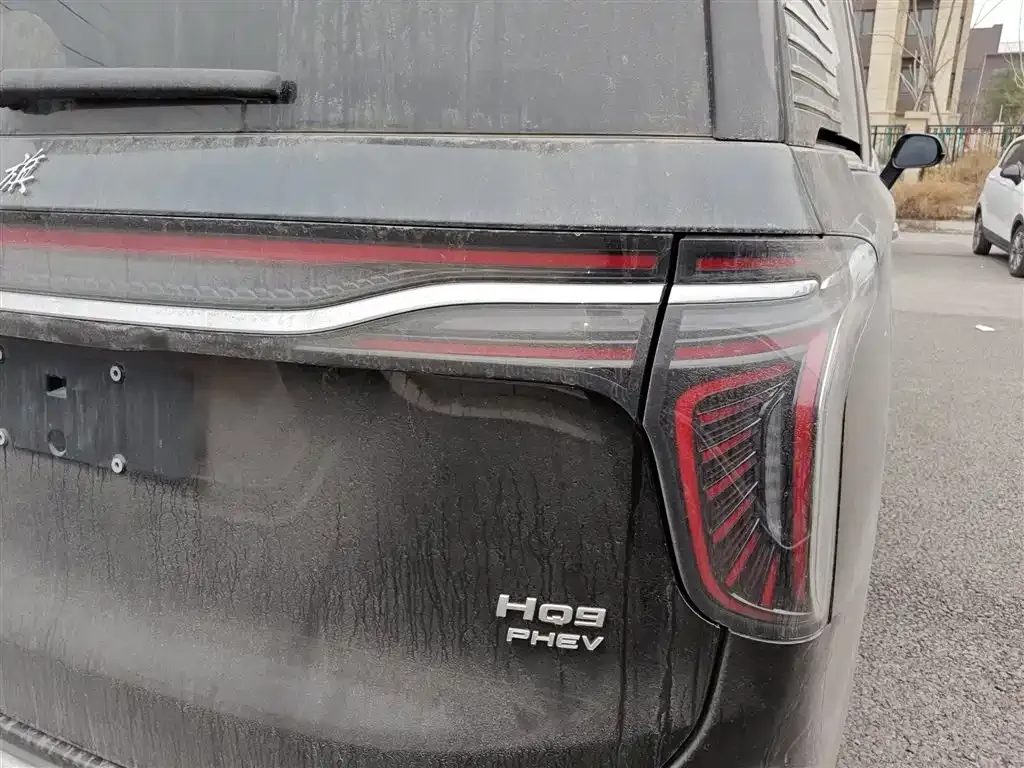 Hongqi HQ9 PHEV 2024 из CN, фото 7