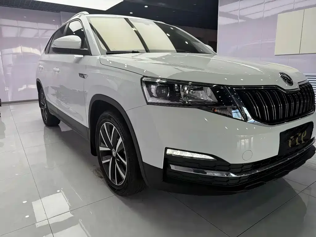 Skoda Kamiq — фото 9