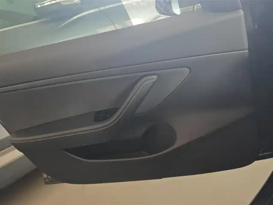 Tesla Model 3 2021 из CN, фото 4