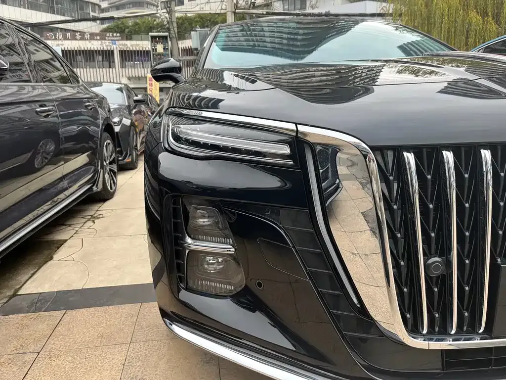 Hongqi H5 2023 из CN, фото 6