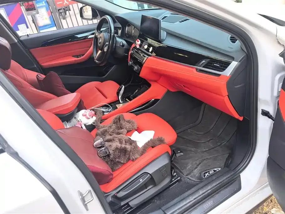 BMW X2 2021 из CN, фото 7