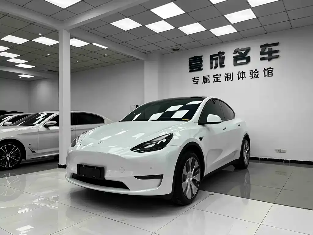 Tesla Model Y — фото 1