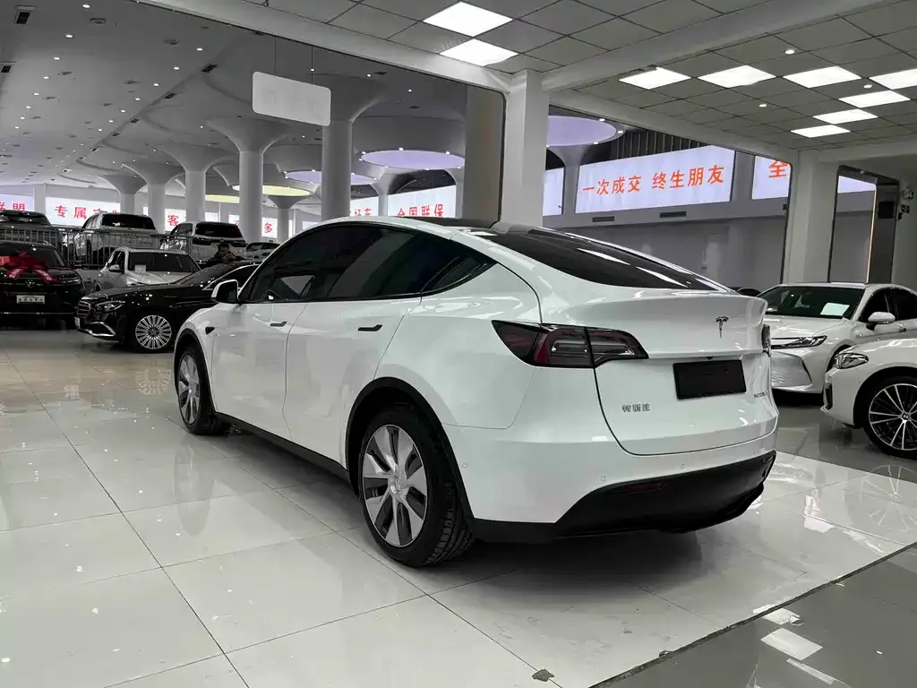Tesla Model Y — фото 9