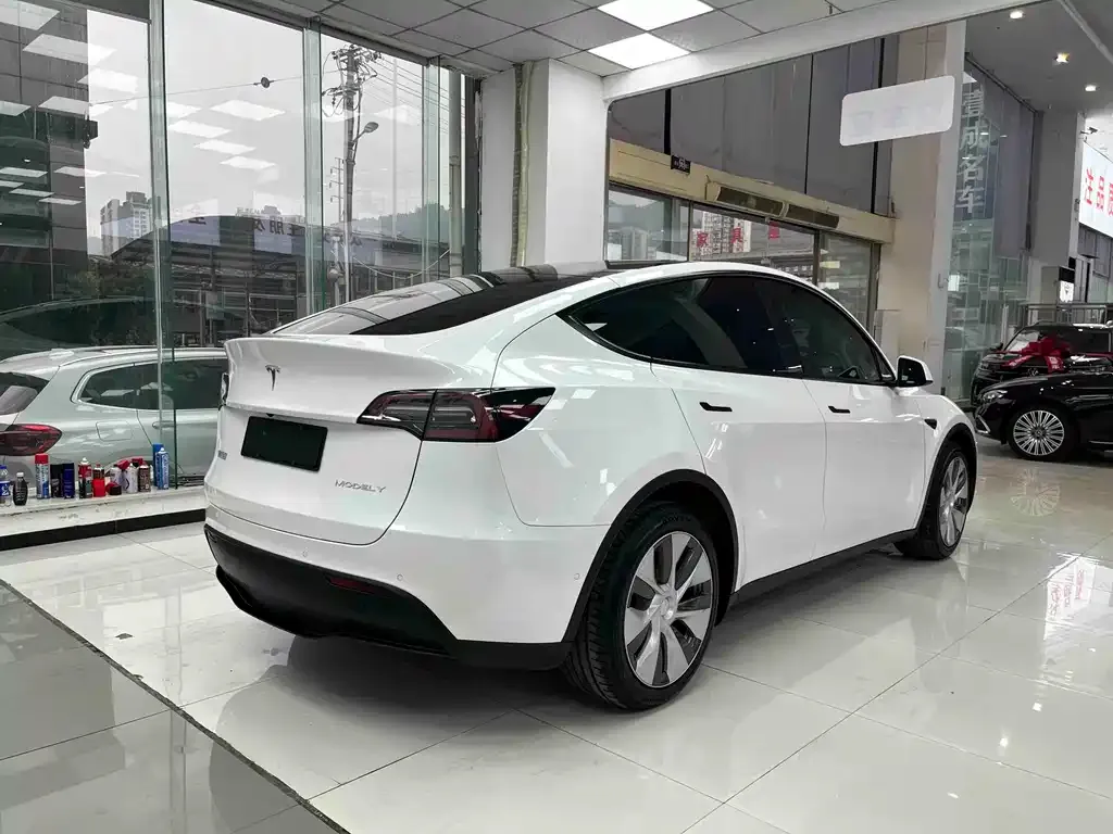 Tesla Model Y — фото 8