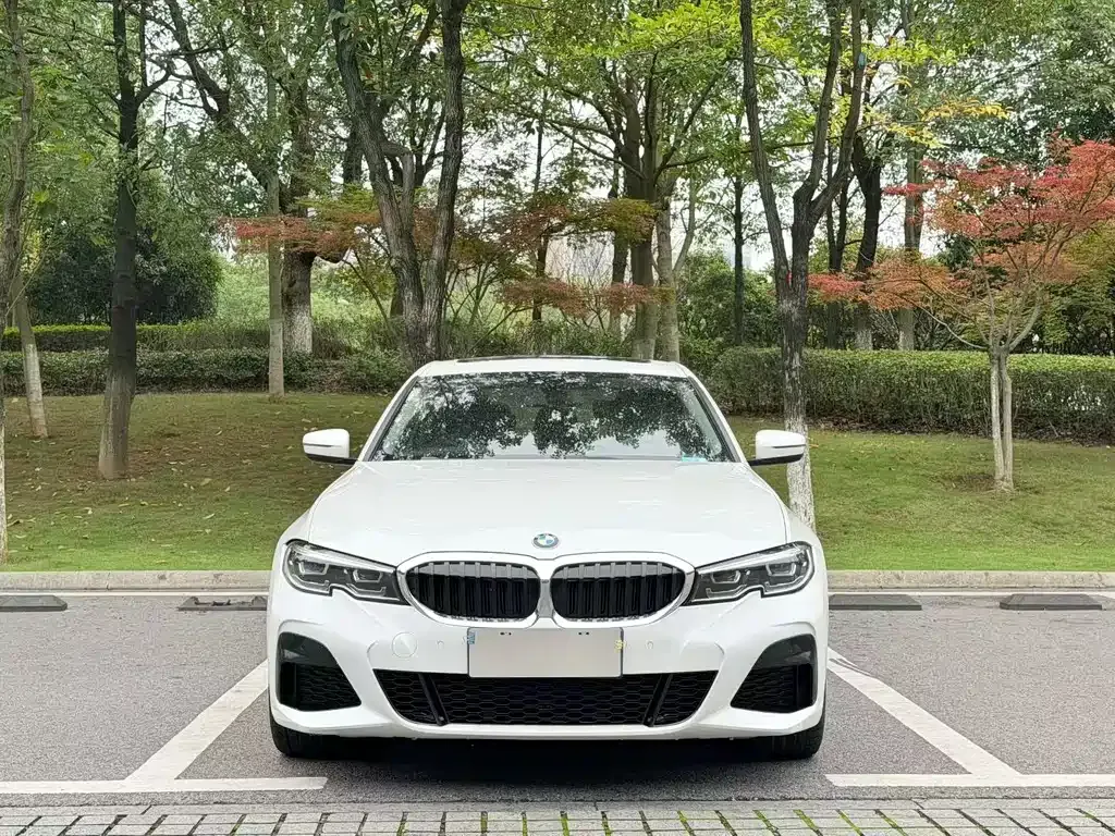 BMW 3 Series 2022 из CN, фото 9