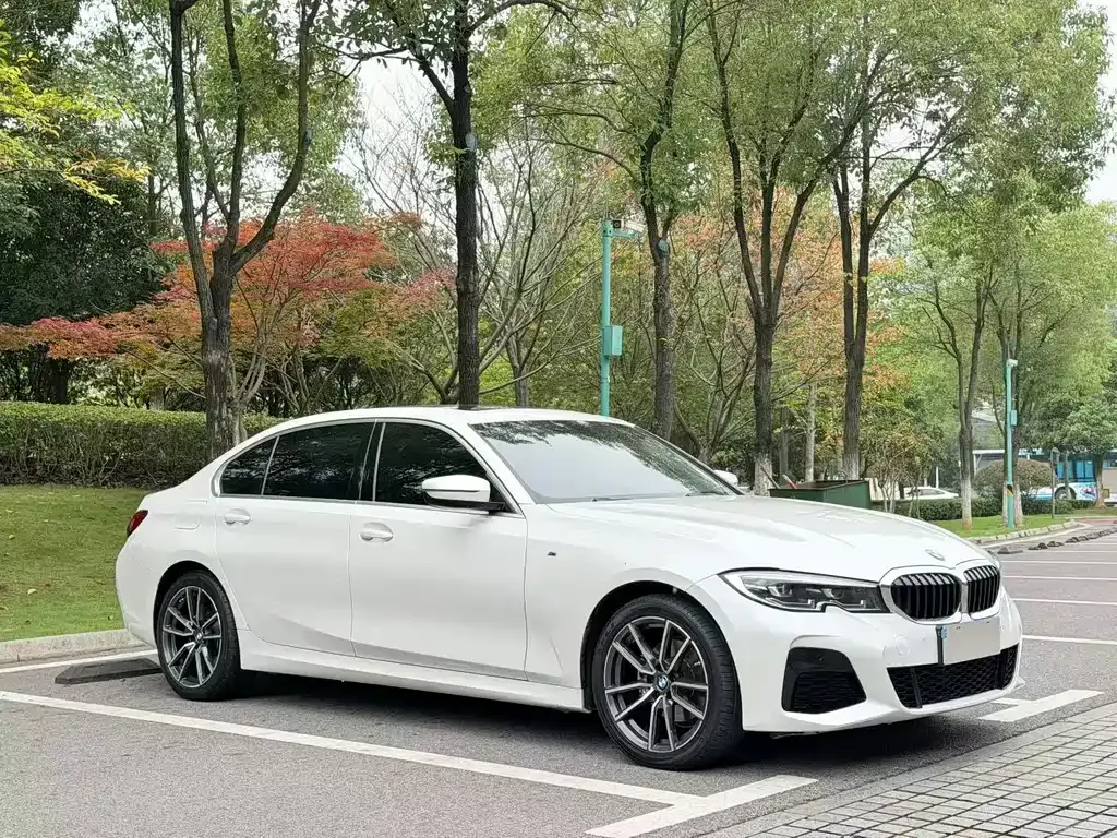 BMW 3 Series 2022 из CN, фото 7