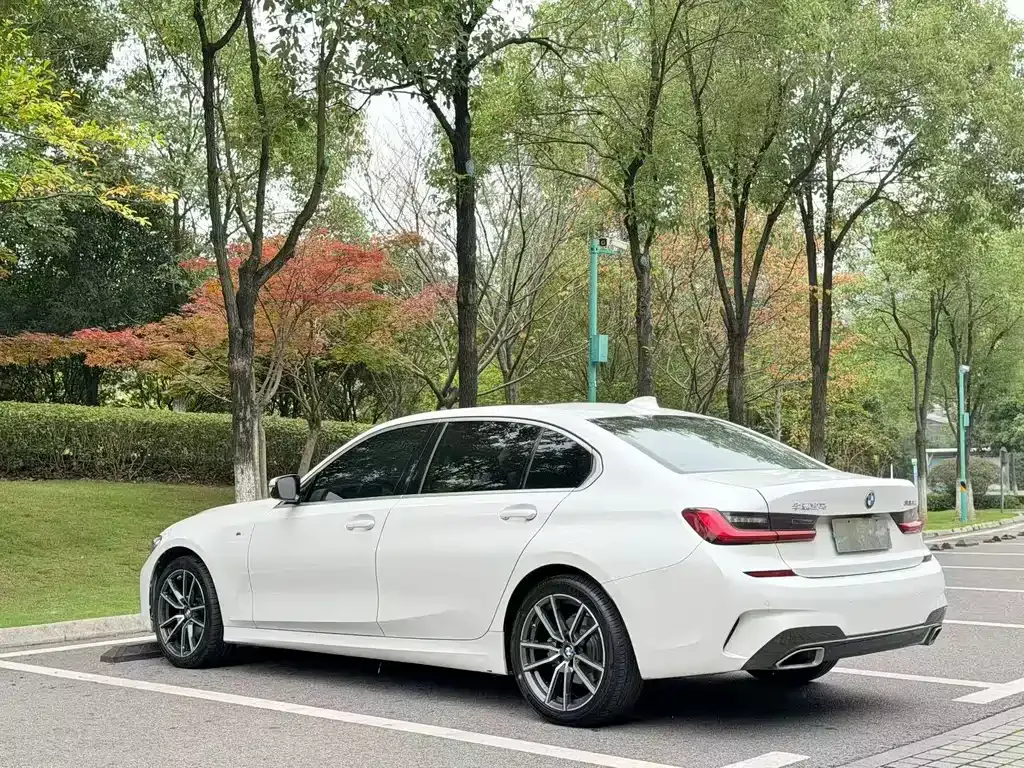 BMW 3 Series 2022 из CN, фото 6