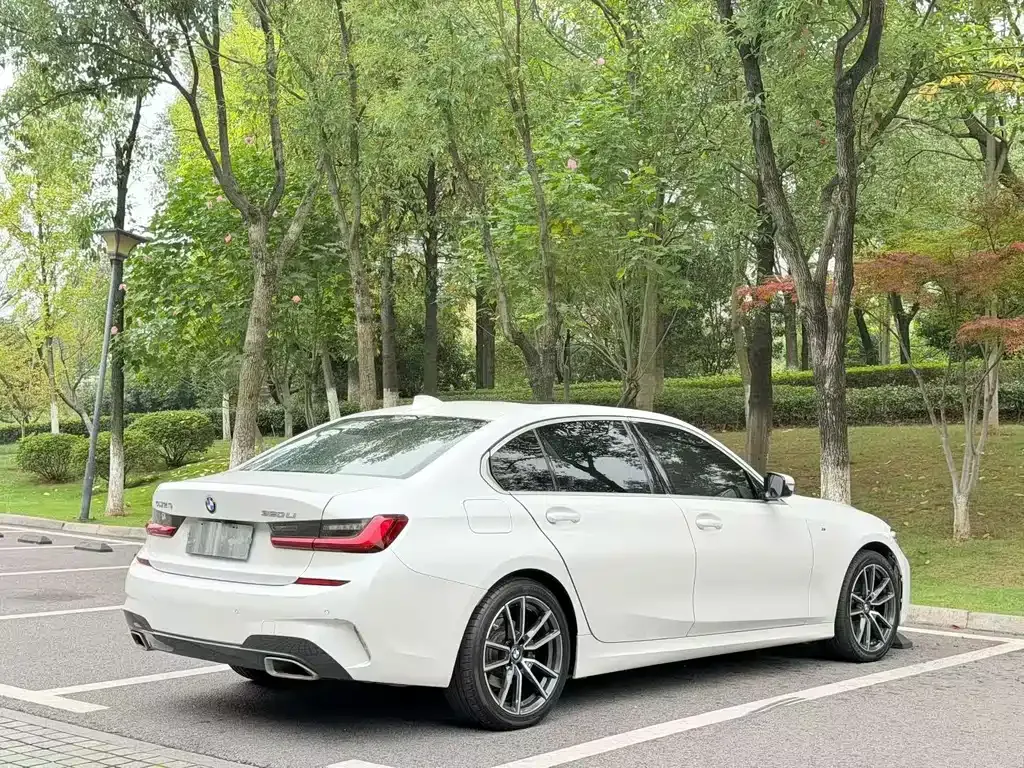 BMW 3 Series 2022 из CN, фото 5