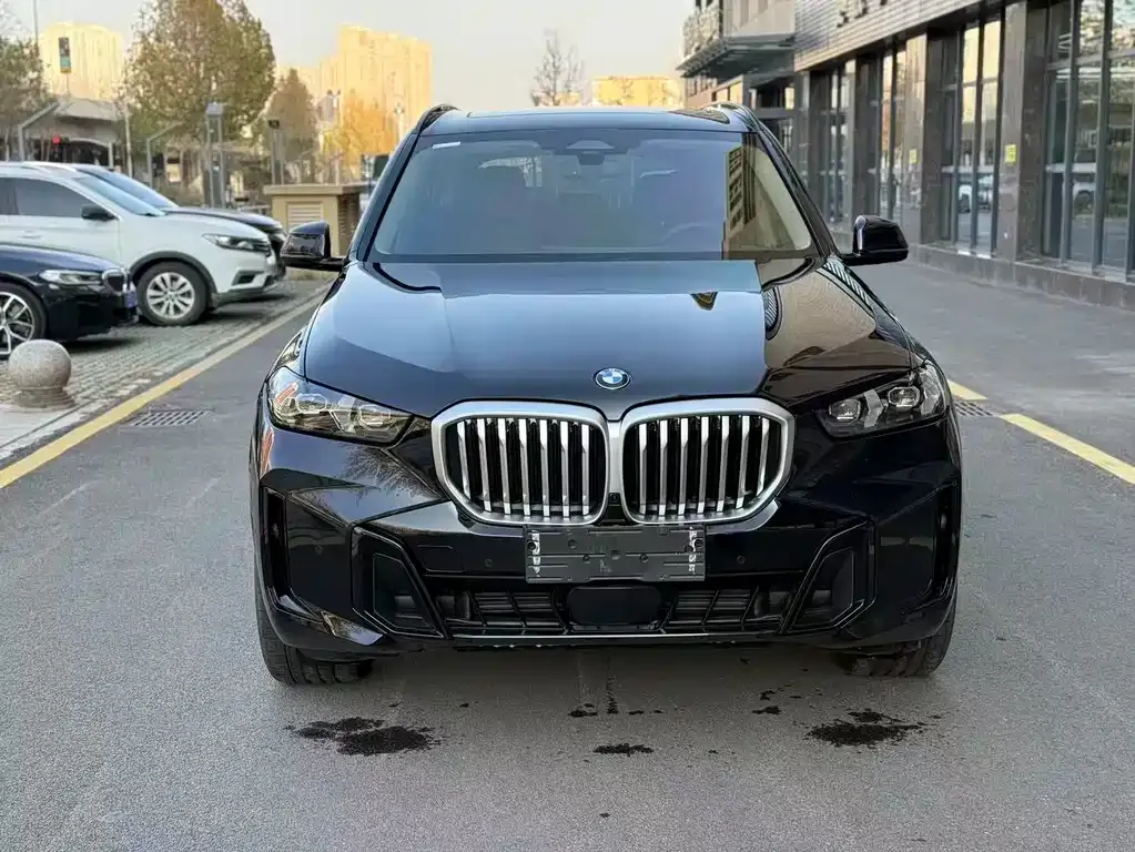 BMW X5 — фото 9