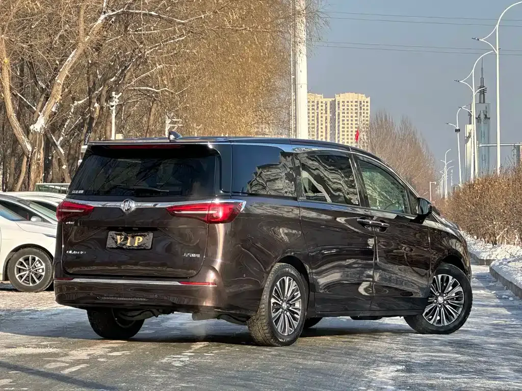 Buick GL8 2021 из CN, фото 9