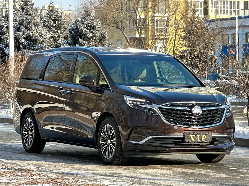 Buick GL8 2021 из CN, фото 10