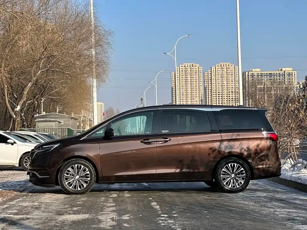Buick GL8 2021 из CN, фото 6