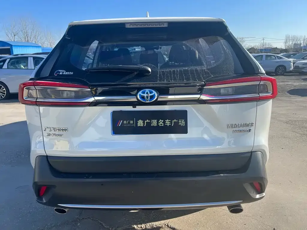 Toyota Wildlander 2021 из CN, фото 6