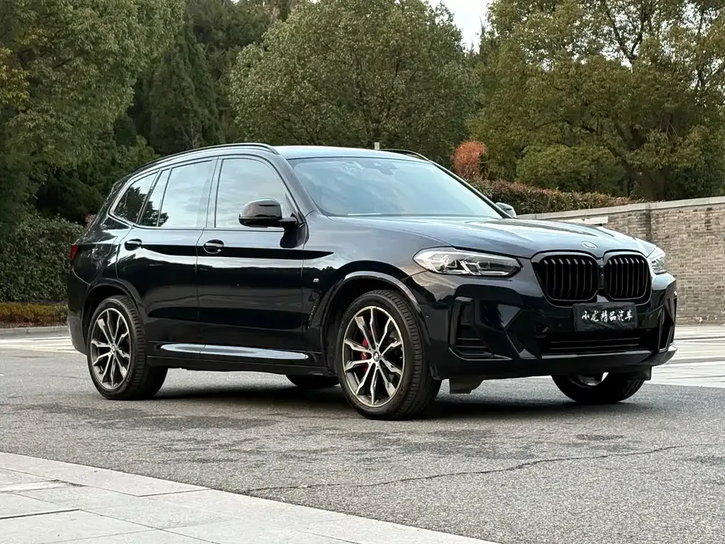BMW X3 2023 из CN, фото 7