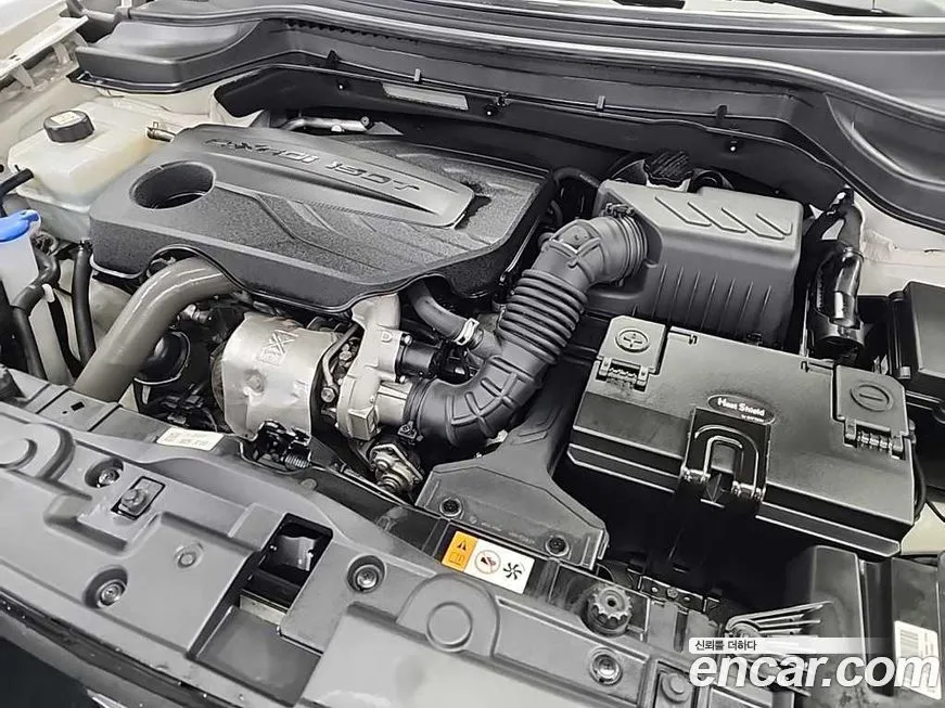 [object Object] TIBOLI 2022 из KR, фото 5