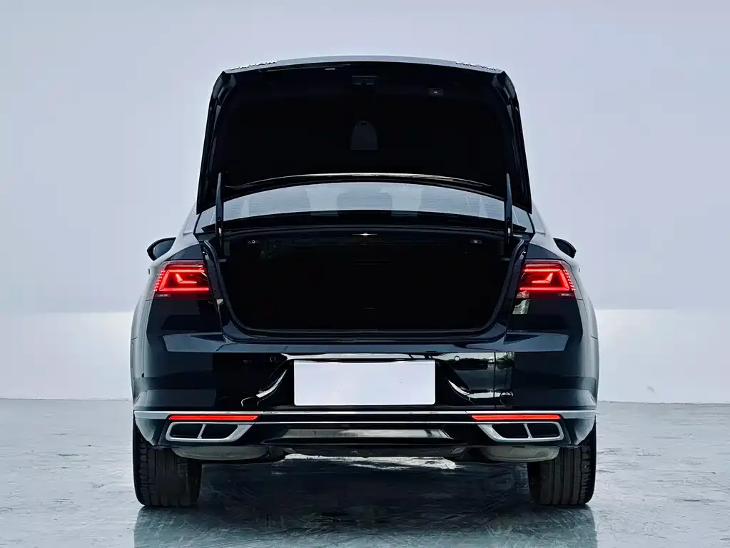 Volkswagen Magotan 2024 из CN, фото 2