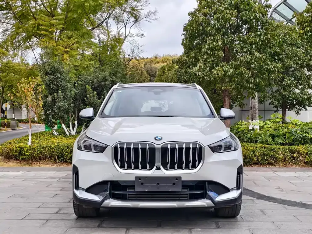 BMW X1 2023 из CN, фото 3