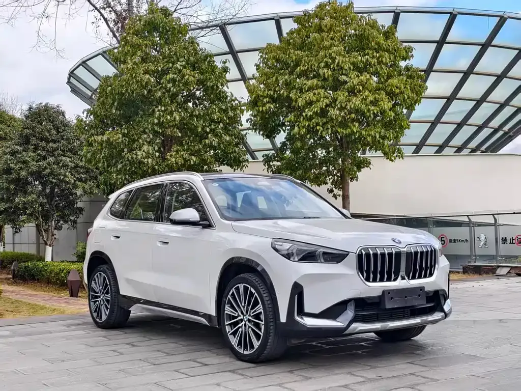 BMW X1 2023 из CN, фото 7