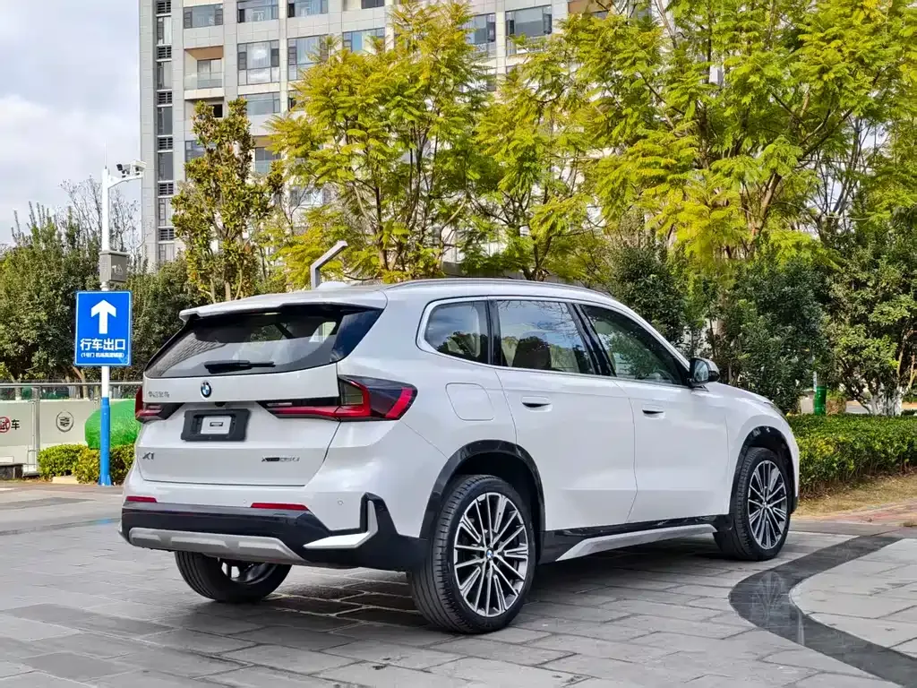 BMW X1 2023 из CN, фото 6