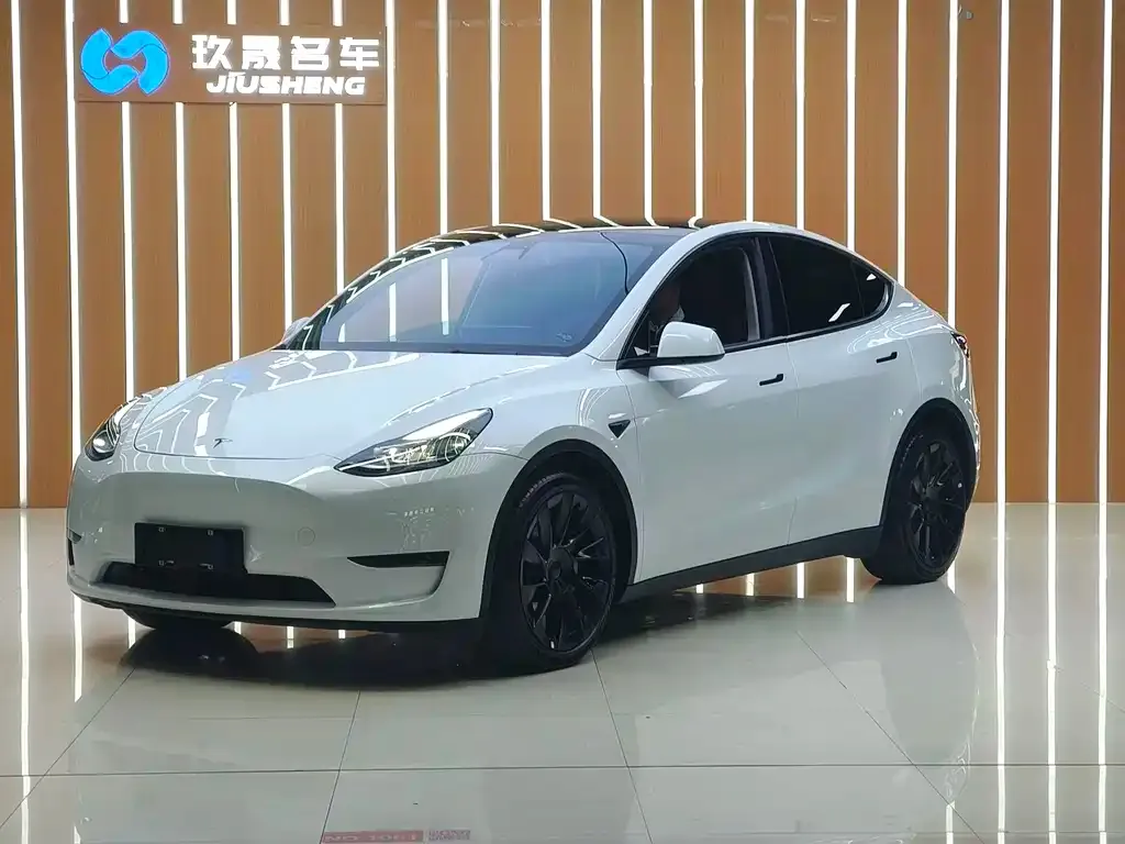 Tesla Model Y 2021 из CN, фото 1