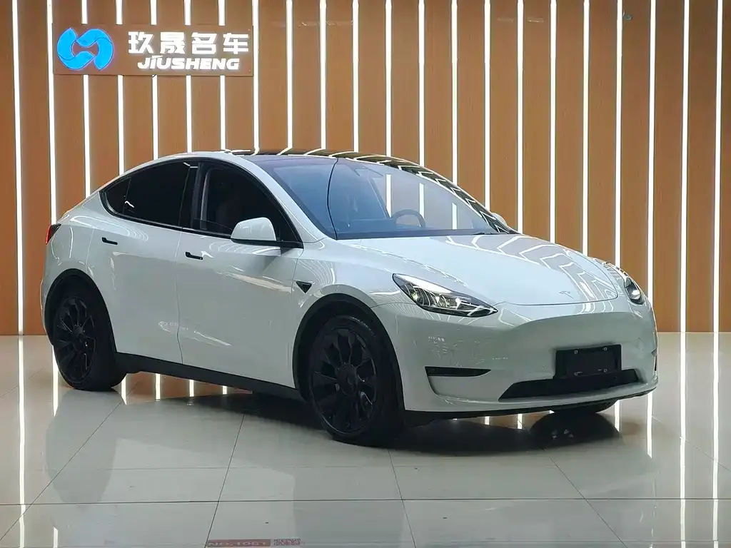Tesla Model Y 2021 из CN, фото 4