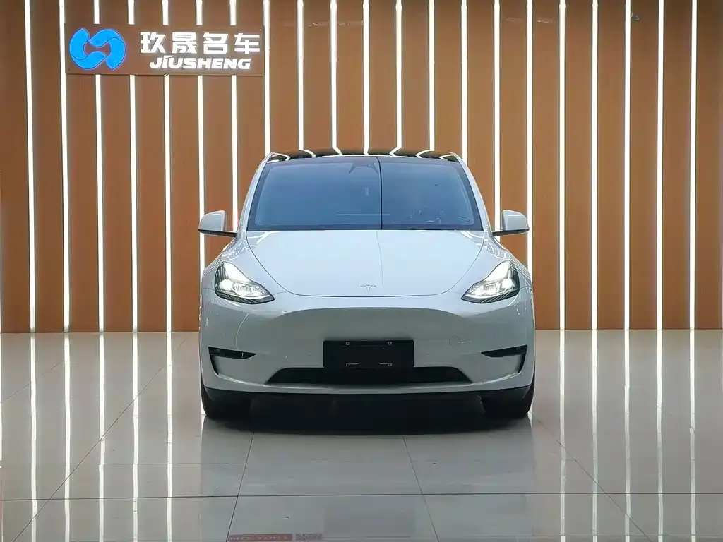 Tesla Model Y 2021 из CN, фото 2