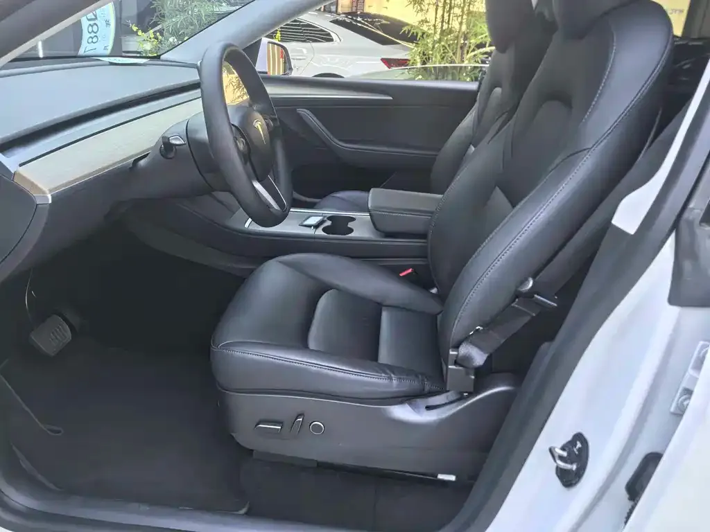 Tesla Model Y 2021 из CN, фото 5